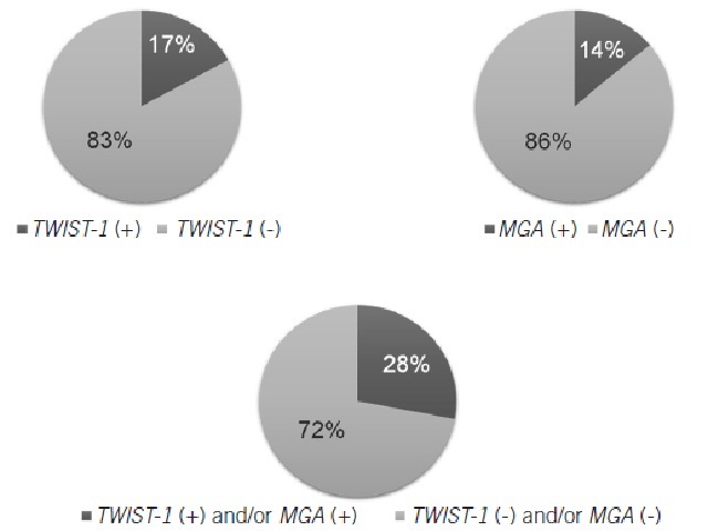 Pie charts showing percentages of patients with CTCs detected by analyses of the expression of TWIST-1, MGA and the combination of expression of both genes CTCs: circulating tumor cells.