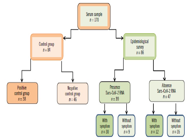 Serum samples evaluated in this study