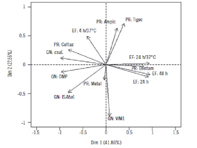 Perceptual map via the main components for the variables