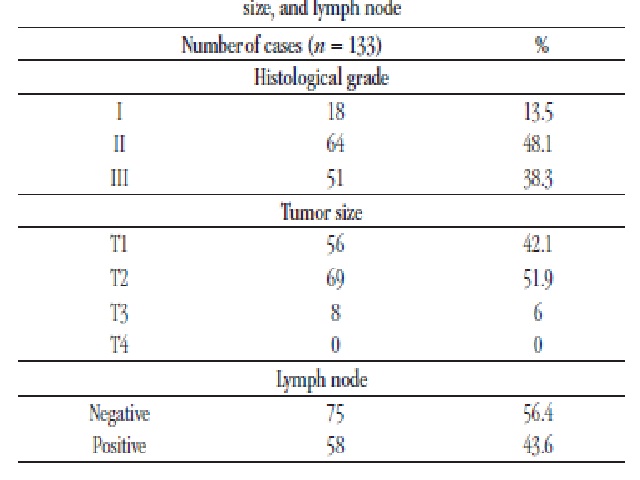 Table 3 − Distribution of the sample in relation to histological grade, tumor size, and lymph node