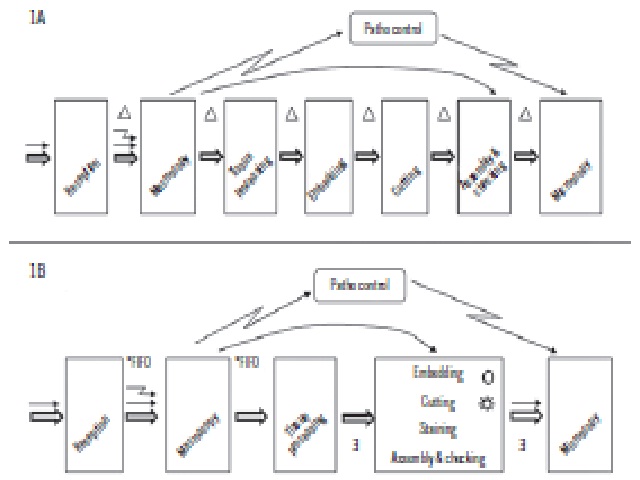 Graphic representation of VSM for the pre-analytical process at the pathology laboratory of Haroldo Juaçaba Hospital (PL-ICC)