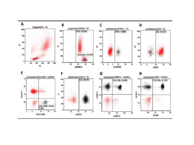 Gating strategy used in the FC500 cytometer and Kaluza analysis software A) selection of the viable population by means of side scatter × forward scatter; B) side scatter × CD45 with gate in the region of total lymphocytes; C, D, E) inside the gate of lymphocytes, we identified populations of T, B, and NK lymphocytes; F, G, H) still inside the gate of lymphocytes, we identified a population of CD3 T lymphocytes and the CD4 and CD8 subpopulations.