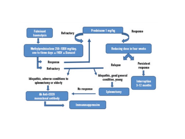 Flowchart of warm AHAI treatment AIHA: autoimmune haemolytic anemia; IVGV: intravenous immunoglobulins; Ab: antibody.