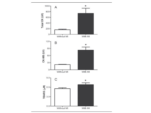 Quantification of cardiac and oxidative stress makers in different experimental groups A) total CK; B) CK-MB; C) TBARS. Data are expressed as mean ± SEM; * p < 0.05 when compared to group without MI. CK: creatine kinase; CK-MB: creatine-kinase MB fraction; TBARS: thiobarbituric acid reactive substances; SEM: standard error of the mean; MI: myocardial infarction.