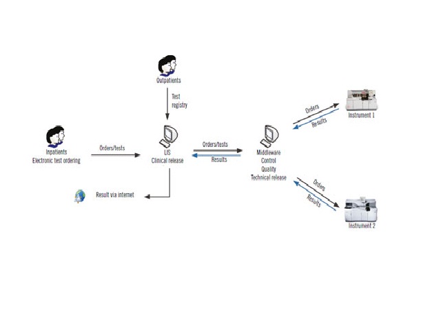 Flow of test conduction at the core laboratory of HC/UFMG HC/UFMG: Hospital das Clínicas da Universidade Federal de Minas Gerais; LIS: laboratory information system.