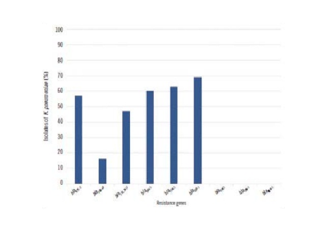 Antibiotic resistance genes detected in ESBL-producing K. pneumoniae ESBL: extended-spectrum beta-lactamases.