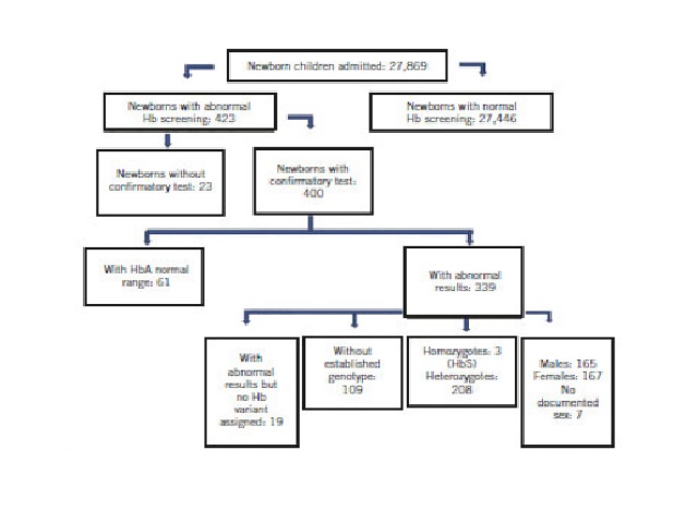 Sample selection – flow chart Flow chart showing the process followed by every newborn in our institution and then used in the present study to select our study population.