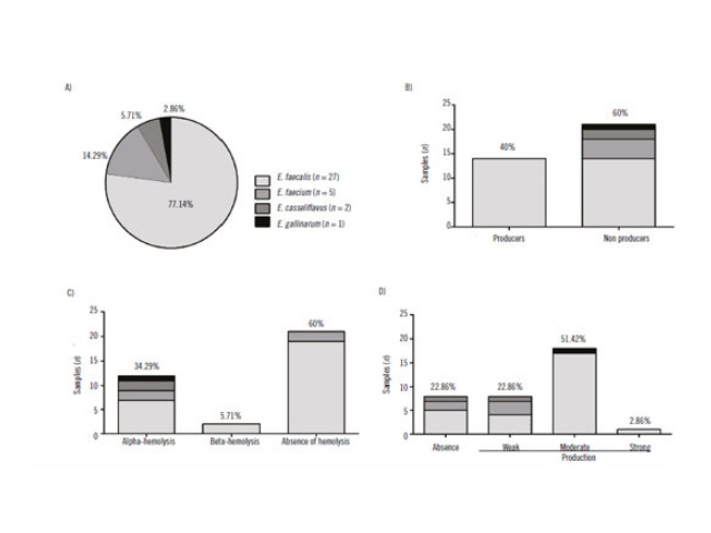 Distribution of Enterococcus species (A) and evaluated production of gelatinase (B), cytolysin (C) and biofilm (D) by the samples included in the study